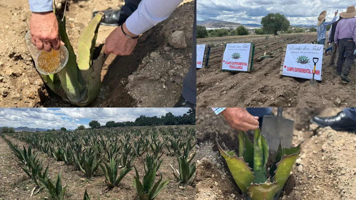 Agricultores de Hidalgo adoptan nuevas tecnologías para mejorar el riego