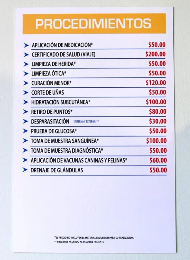 SimiPet llega a Pachuca: con consultas desde 75 pesos