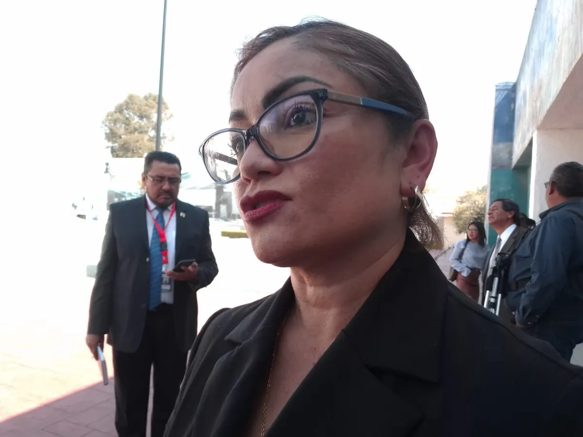 Elecciones 2024: suman cerca de 17 denuncias en actual proceso electoral