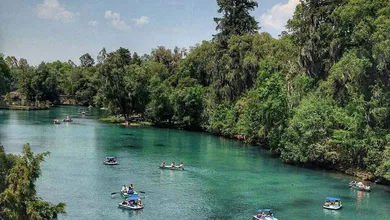 Huasca de Ocampo refuerza seguridad en sus bosques y garantiza tranquilidad a turistas y ciclistas.