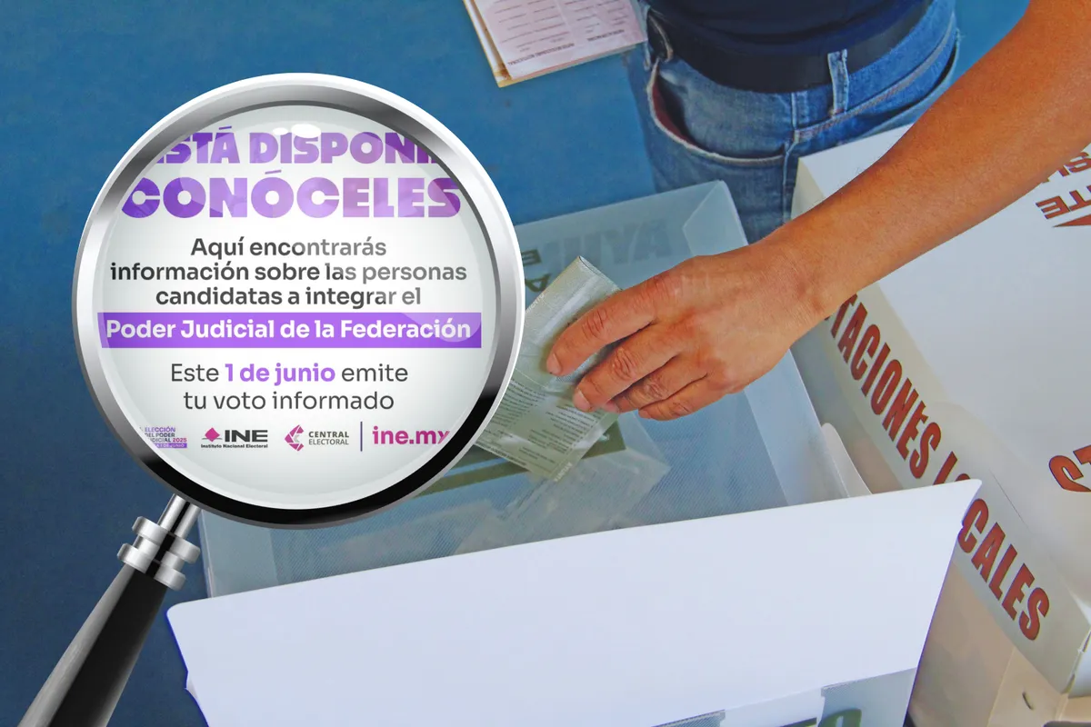 Plataforma Conóceles: qué es y para que servirá durante la elección judicial