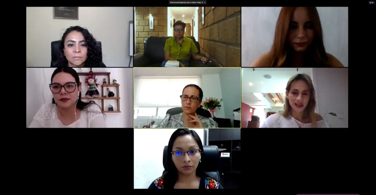 IEEH inicia actividades del ciclo de webinars ‘La Elección de la Inclusión’