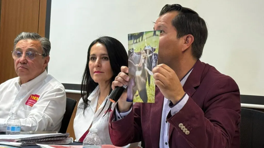 Tauromaquia en Hidalgo exige consulta indígena