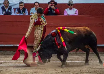 Animalistas rechazan consulta popular por corridas de toros en Hidalgo; amenazan con ir a la SCJN