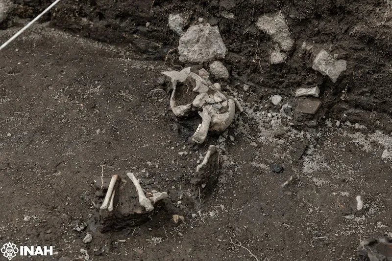 Descubren antiguo palacio tolteca cerca de la Zona Arqueológica de Tula