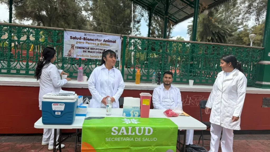 Conoce los puntos y horarios para vacunar a perros y gatos en Pachuca