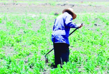 Iniciará pago del seguro de gastos catastróficos en Hidalgo