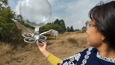 Daris Rubio también ha desarrollado otros artefactos tecnológicos con impacto social y ambiental.