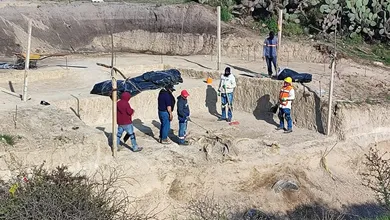 Hallan posibles restos de mamut en Tizayuca