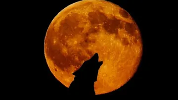 La luna del lobo dará la bienvenida a 2026 con más brillo y un tamaño fuera de lo común. Así podrás observarla.