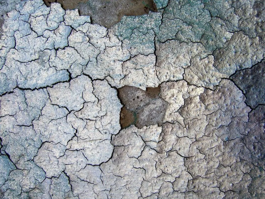 “Reflexión del reflejo”, por Amanda Bouchenoire