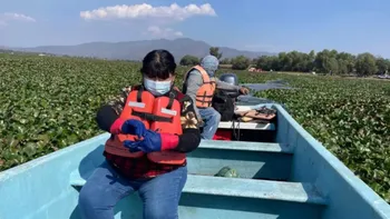 Vista de la presa Endhó, en Hidalgo, relacionada con reportes sobre contaminación, cáncer y enfermedades en comunidades cercanas.