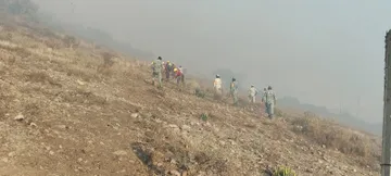 Brigadistas combaten incendio forestal