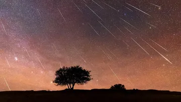 Lluvia de estrellas Perseidas 2025: horarios y puntos de observación en Hidalgo