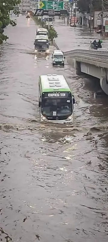 GALERÍA: caída de árboles, bardas y anegamientos, saldo de precipitaciones en Hidalgo