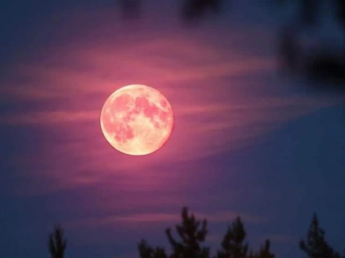 La luna rosa podrá verse en Hidalgo, te decimos cuándo será