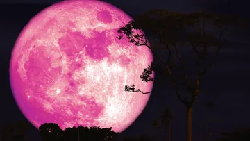 ¡No te la pierdas! La Luna de Fresa iluminará el cielo: cuándo y a qué hora verla