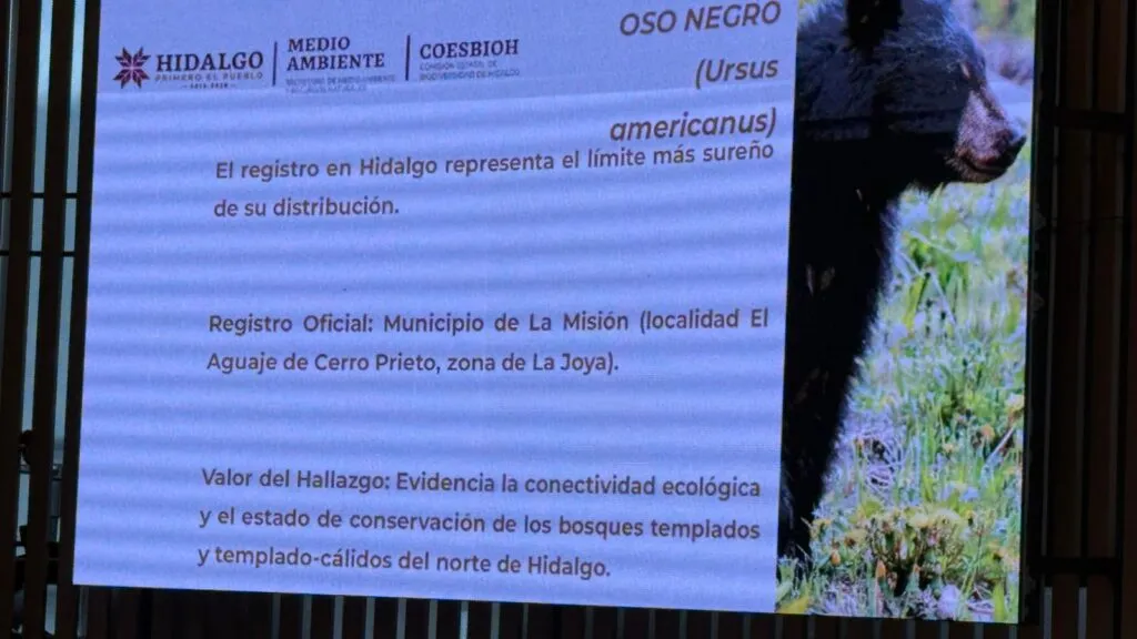 Hidalgo fortalece conservación ambiental con inversión de 17.3 mdp