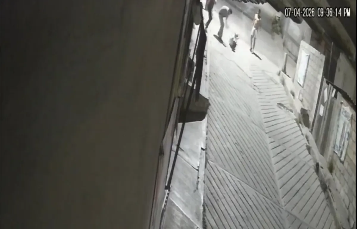 Un reclamo terminó en un ataque directo y todo quedó grabado. Un vecino fue golpeado frente a su casa en Mineral de la Reforma y el video ya circula