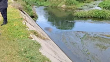 Hallan cuerpo en canal de Tezontepec de Aldama.