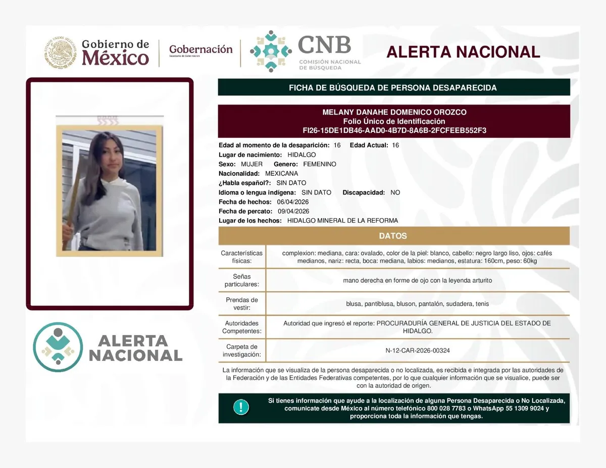 Alerta Amber Melany Danahe Domenico