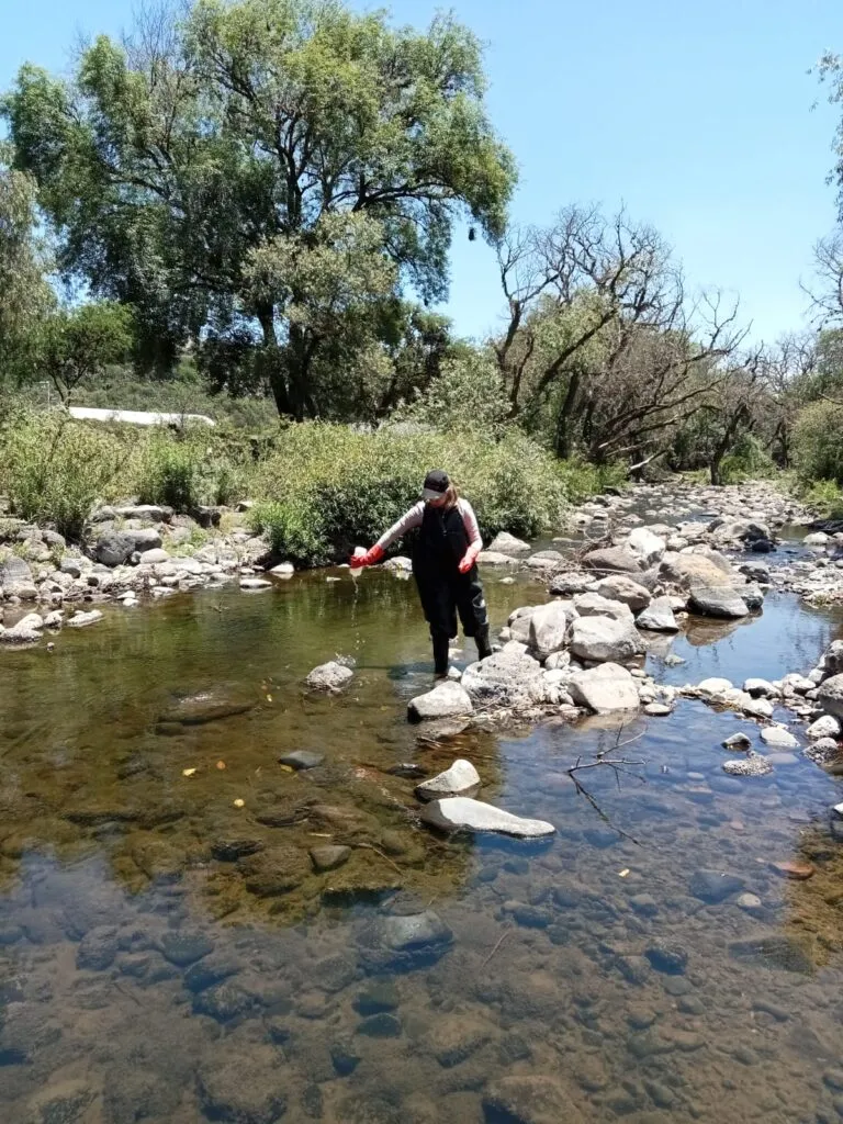 Conagua analiza contaminación en el río Rosas como parte del saneamiento del río Tula