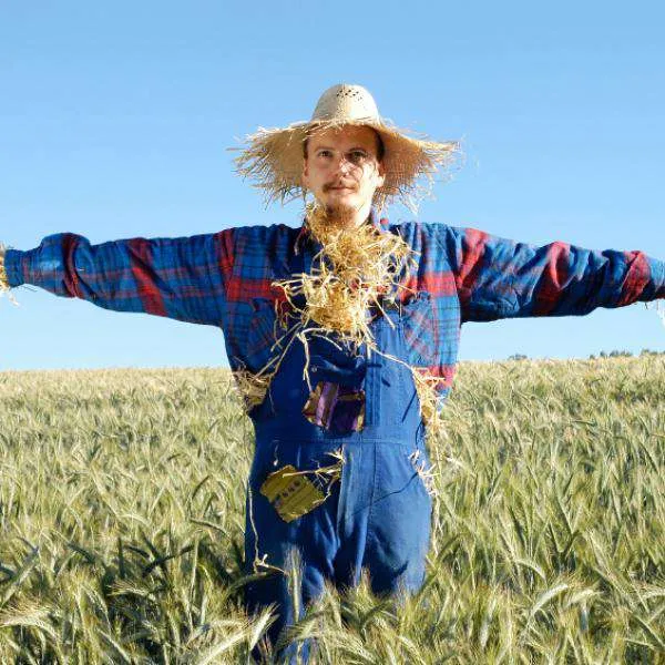 Disfraces baratos y creativos para Halloween 2024. Revisa estas opciones