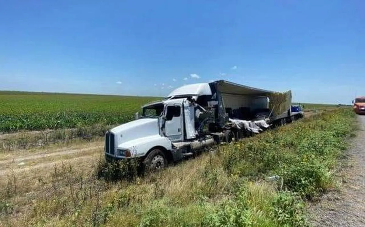 Toneladas de perros y gatos muertos trasladaba tráiler accidentado en Tamaulipas