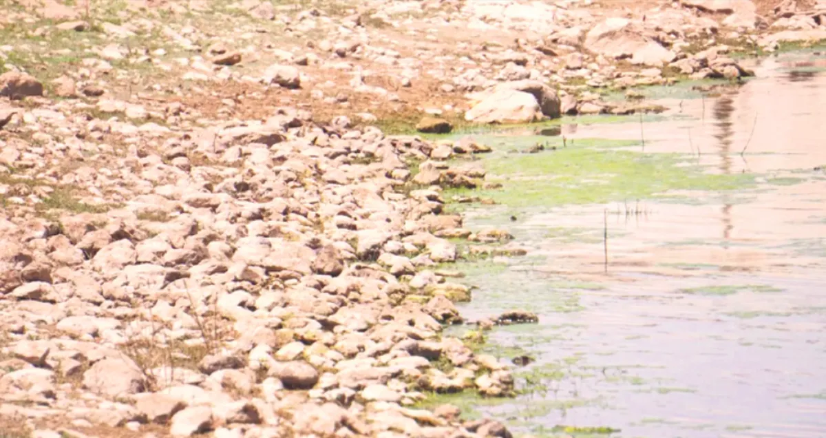 Conagua reporta 19 municipios anormalmente secos en Hidalgo