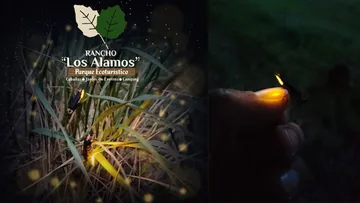 ¿Buscas qué hacer en Hidalgo? Disfruta una caminata nocturna entre luciérnagas y café de olla