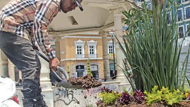 Regresan áreas verdes al Reloj Monumental de Pachuca