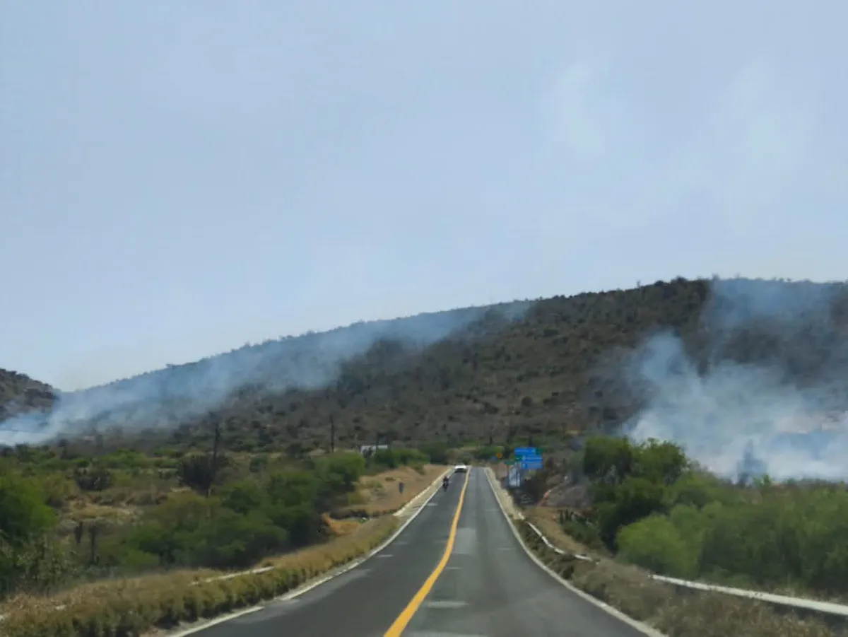 No es un solo incendio: hay varios focos activos y ya trabajan para controlarlos