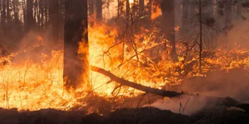 Incendio en Ixmiquilpan moviliza a cuerpos de emergencia