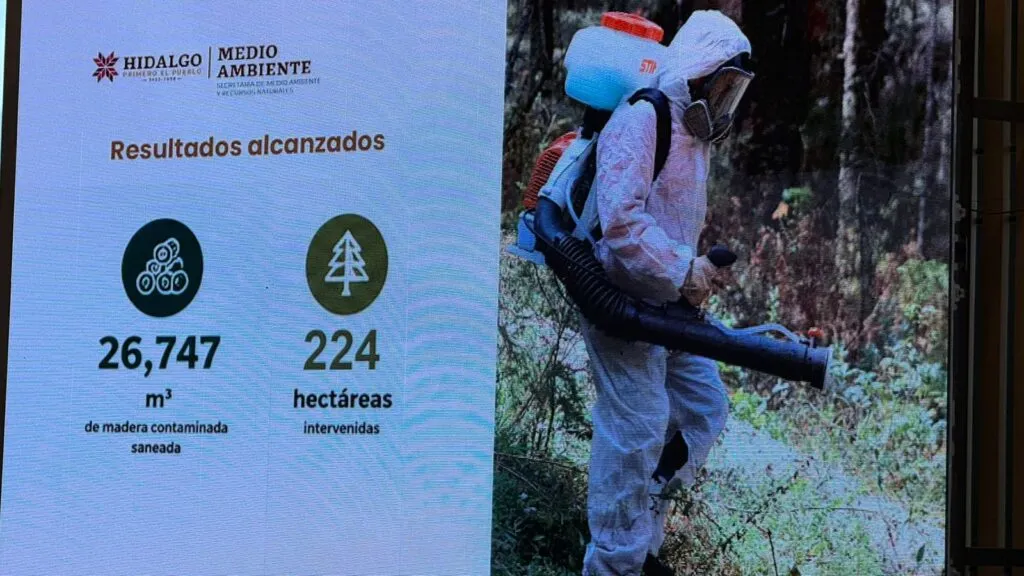 ¡Van por El Chico! Hidalgo invertirá otros 10 millones para salvar su bosque más emblemático