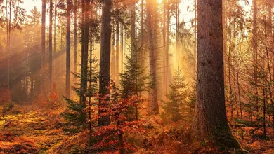 Equinoccio de otoño 2025 en México: fecha, hora y cómo observarlo