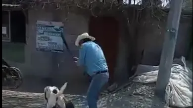 Hombre agrede a perro con machete en Actopan