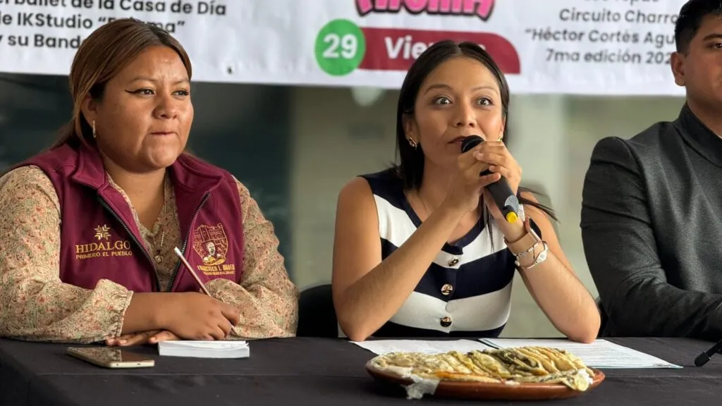 Feria San Agustín Tepatepec 2025: fechas, actividades y artistas