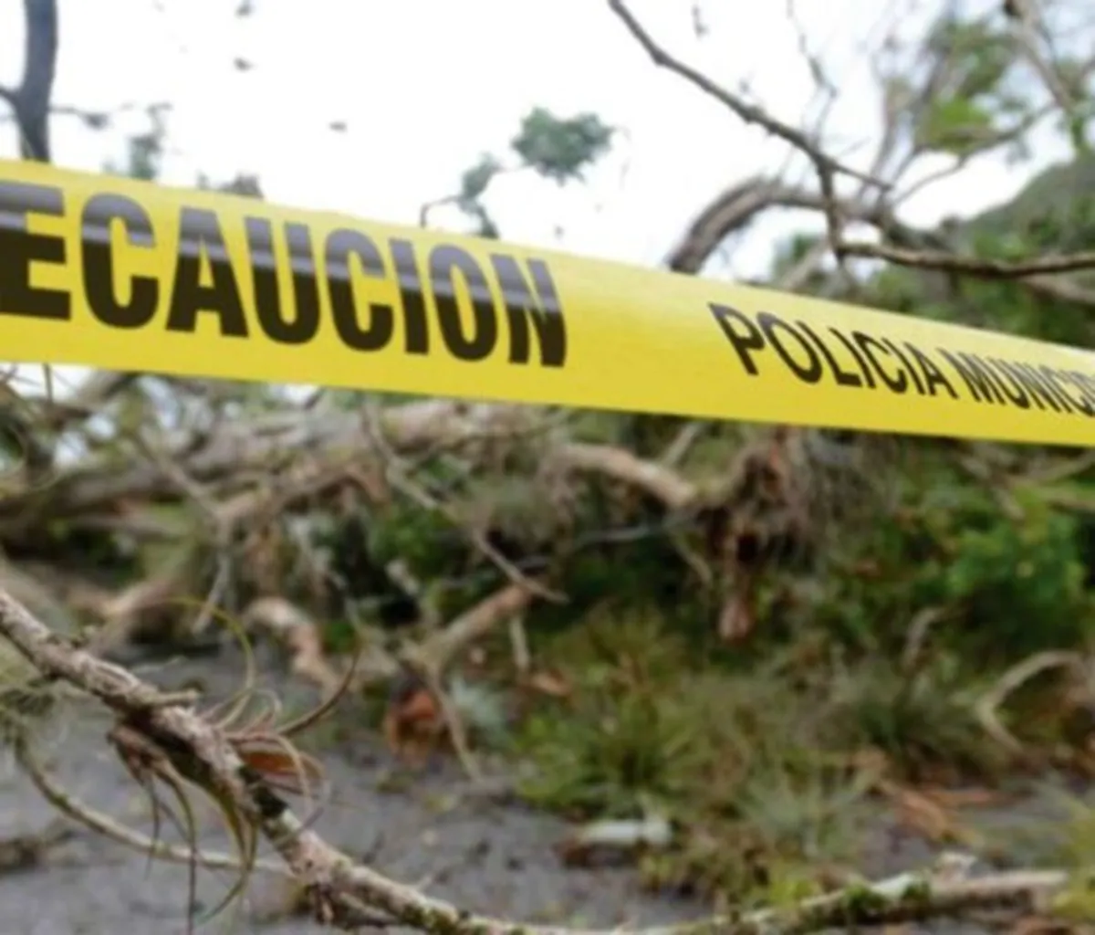 Camioneta cae a barranco en Huasca de Ocampo: dos personas pierden la vida y cinco resultan heridas