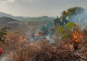 Hidalgo entre las entidades con más incendios forestales en ecosistemas sensibles