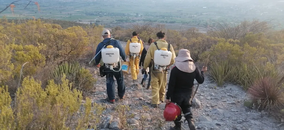 Incendio forestal en Ixmiquilpan consume 350 hectáreas