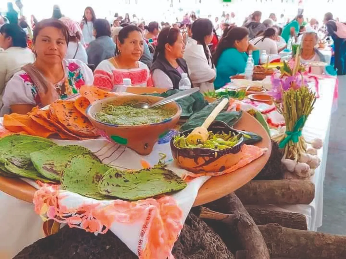 El festival de Santiago enfrenta desafíos por especies amenazadas  