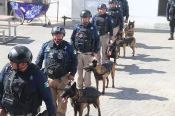 No solo buscan, también salvan: reconocen a los binomios K9 por su trabajo en seguridad y apoyo social