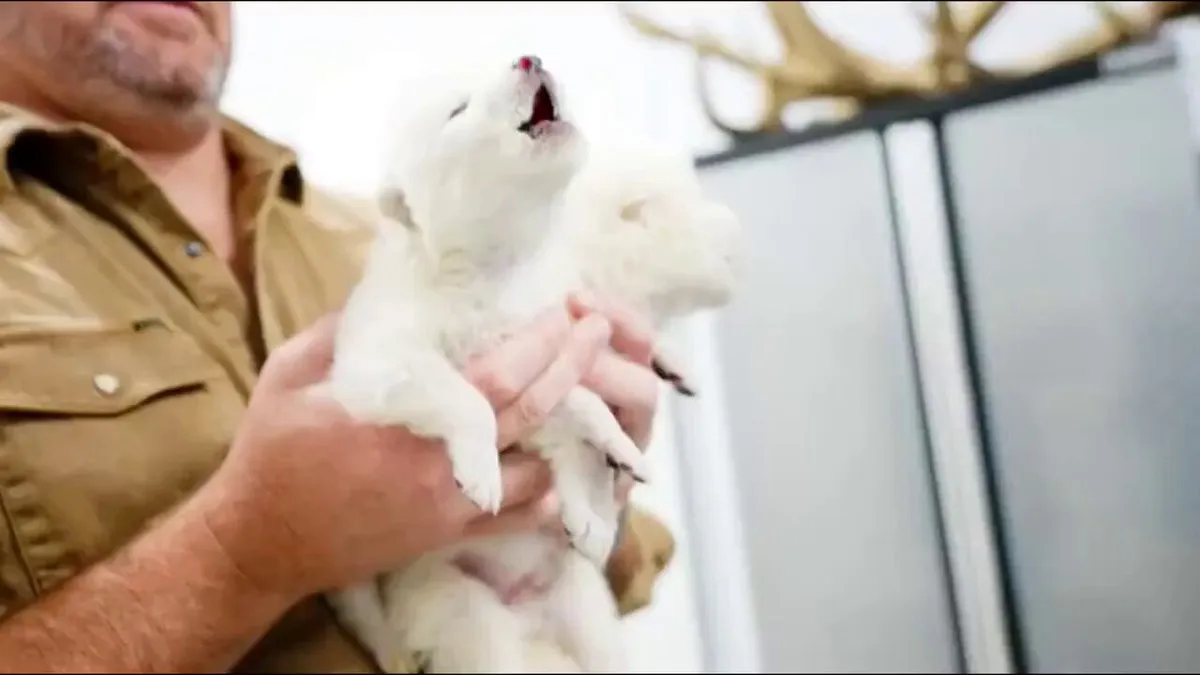 Científicos reviven al lobo huargo, famoso por la serie Game of Thrones| VIDEO