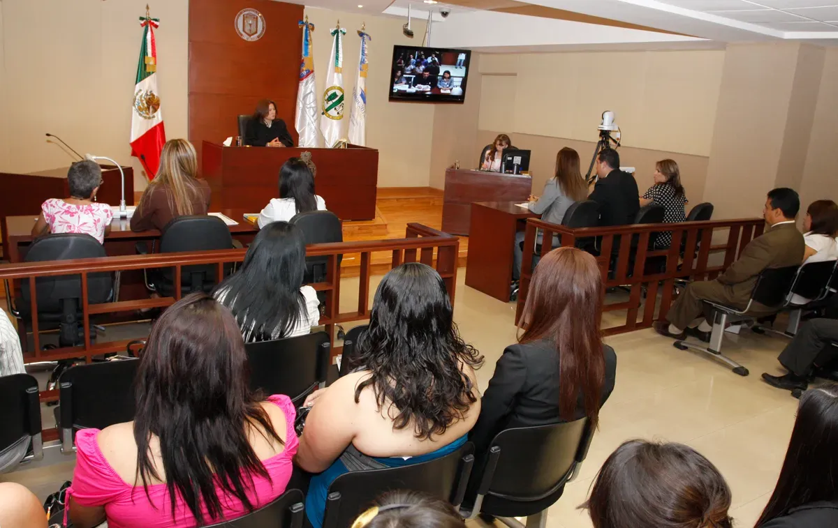 Violencia familiar y lesiones, delitos que absorben a jueces  