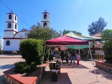 Fiesta del Mezquital