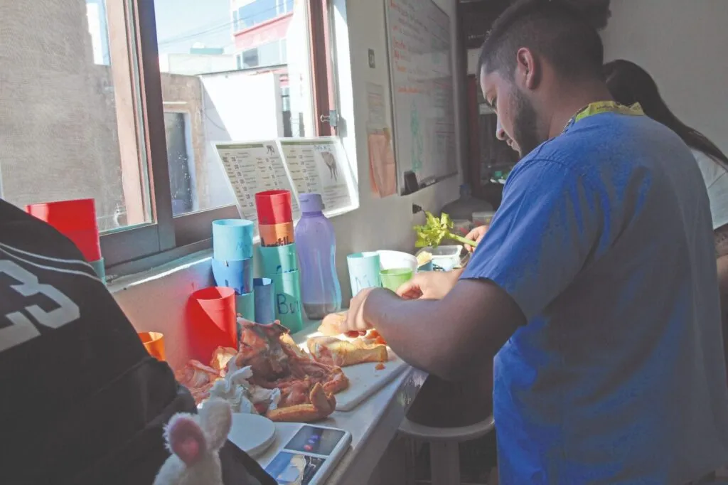 Diez años cuidando la vida silvestre: así trabaja la Unidad de Rehabilitación de Pachuca