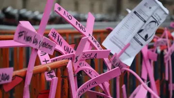 Secretaría de las Mujeres replantea la alerta de género: Hernández