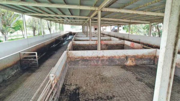 Pachuca abre licitación para renovar el equipo del rastro municipal.