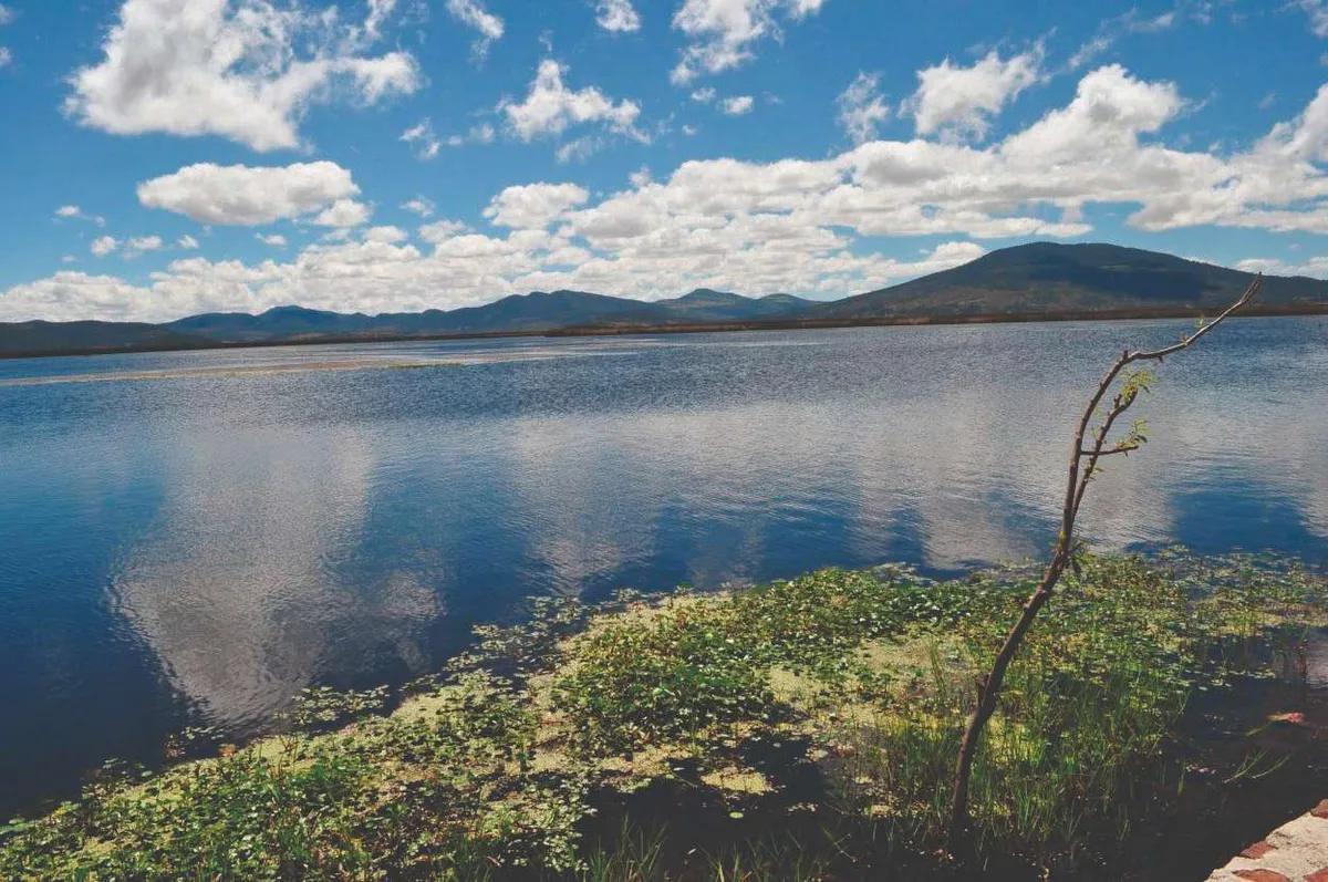 Participa en el concurso “Expresa tu Amor por la Laguna de Tecomulco”; te decimos como