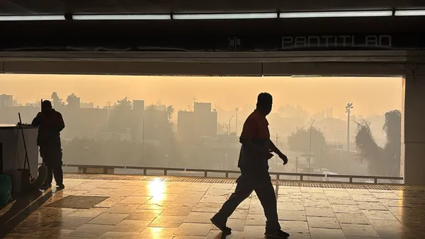 Durante la mañana se reportaron incendios en los municipios de Texcoco y Nezahualcóyotl, cuyas columnas de humo impactaron a la CDMX desde el amanecer. FOTO: Zasid Quizamán